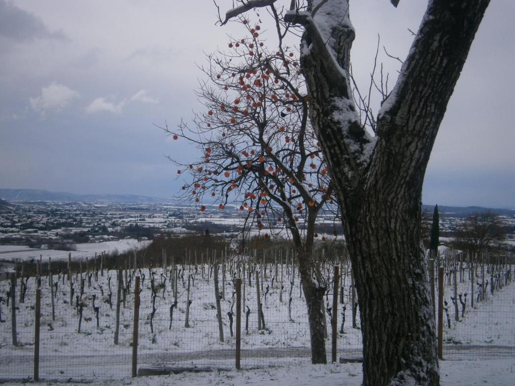 Le Badie Wine Resort Rosazzo Exterior photo